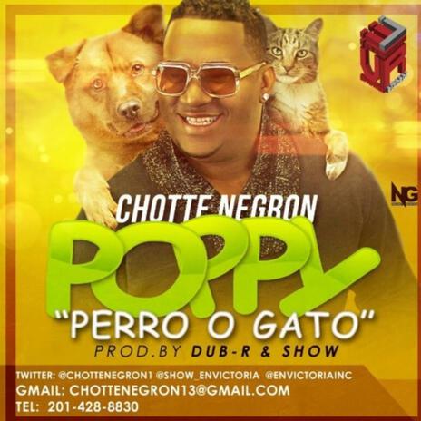 POPPY GATO,O PERRO | Boomplay Music