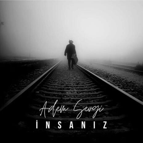 INSANIZ | Boomplay Music