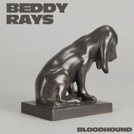 Bloodhound | Boomplay Music