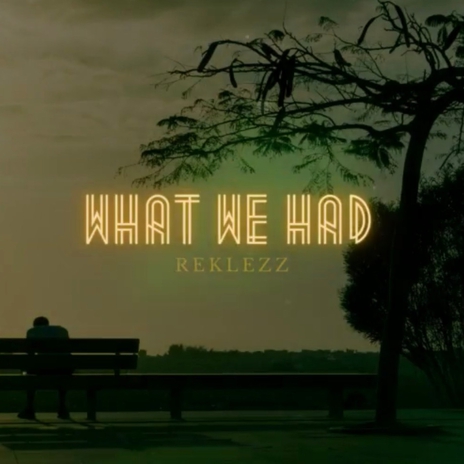 WHAT WE HAD | Boomplay Music