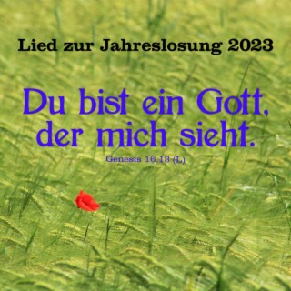 Ein Gott, der mich sieht (Jahreslosung 2023)