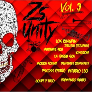 ZS Unity Vol.3 Compilado