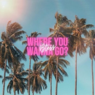Where You Wanna Go?
