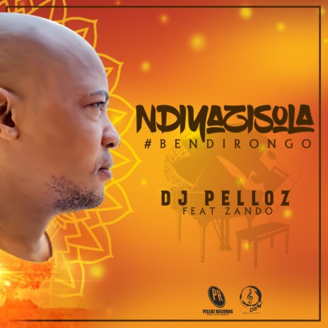 Ndiyazisola (feat. Zando)