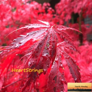 Heartstrings