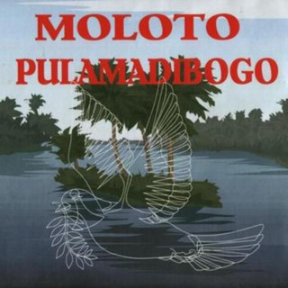 Pulamadibogo