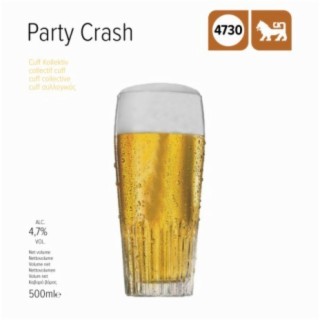 Party Crash