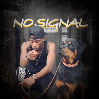 No Signal