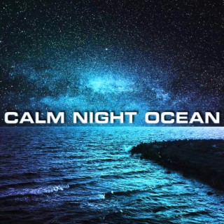 Calm Night Ocean