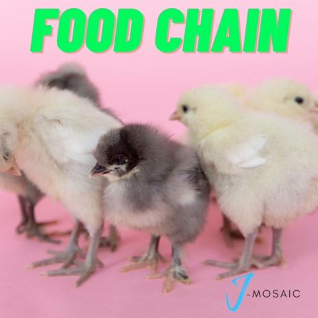 Food Chain | Boomplay Music