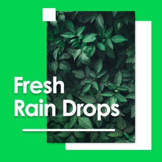 Fresh Rain Drops