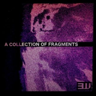 A COLLECTION OF FRAGMENTS