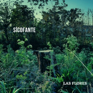 Las flores