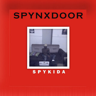 Spynxdoor