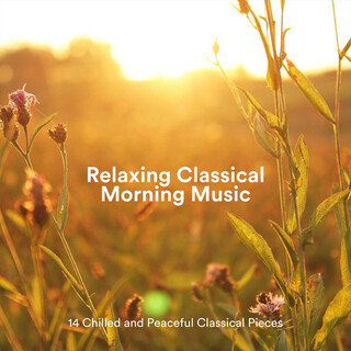 Relaxing Classical Morning Music: 14 Chilled and Peaceful Classical Pieces