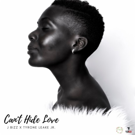 Can't Hide Love (Radio Edit) ft. Tyrone Leake Jr. | Boomplay Music