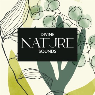 Divine Nature Sounds: Relaxing Sounds of Earth to Calm You Down, Put to Sound Sleep, Get Rid of Anxiety & Nervousness