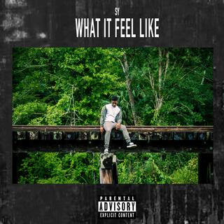 What It Feel Like lyrics | Boomplay Music