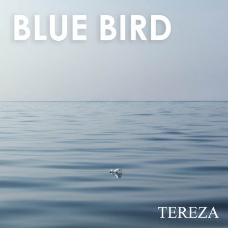 Blue Bird (Acoustic) | Boomplay Music