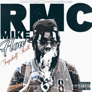 RMC MIKE FLOW