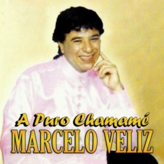 Marcelo Veliz