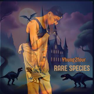 Rare Species lyrics | Boomplay Music