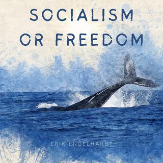 socialism or freedom