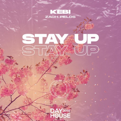 Stay Up ft. Zach Fields | Boomplay Music