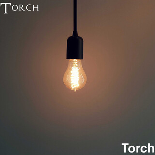 Torch