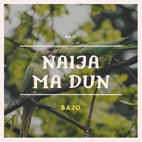 Naija Ma Dun | Boomplay Music