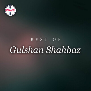 Best Of Gulshan Shahbaz