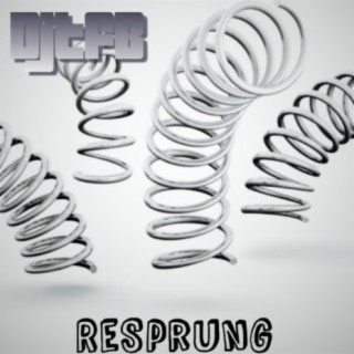 ReSprung