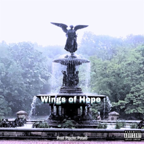 Wings of Hope | Boomplay Music