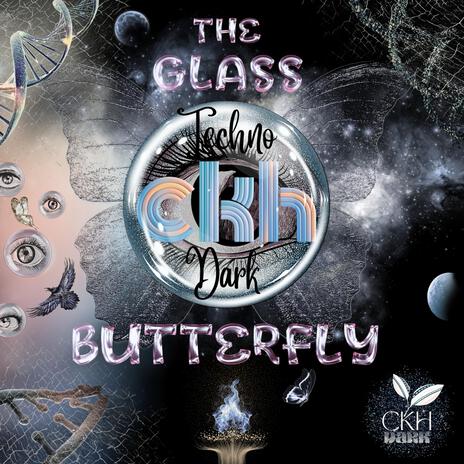 The Glass Butterfly | Boomplay Music