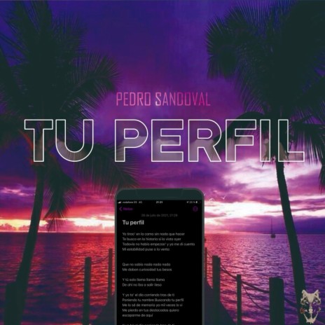 Tu Perfil | Boomplay Music