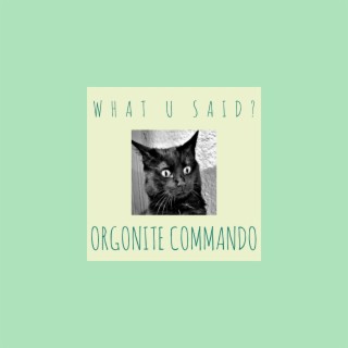 Orgonite Commando