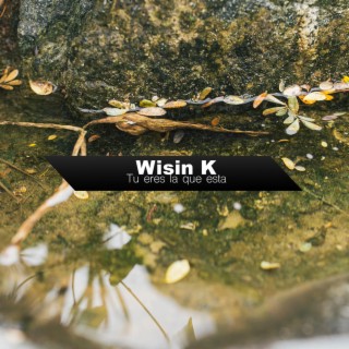 Wisin K