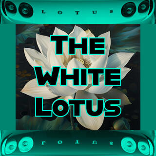 The White Lotus