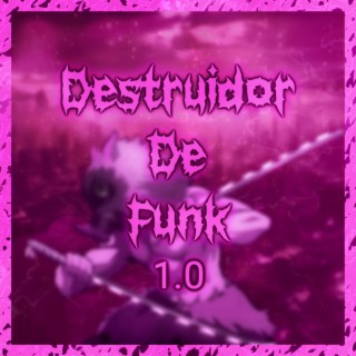 Destruidor de Funk 1.0 (remixes)