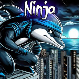 Ninja lyrics | Boomplay Music