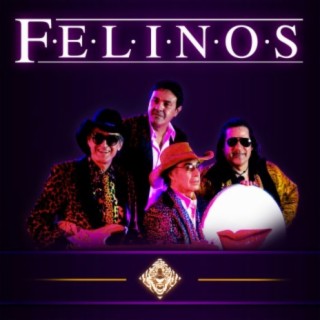 Los Felinos