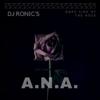 A.N.A. (Instrumental)