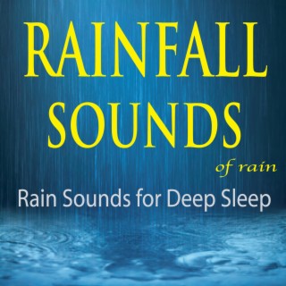 Rainfall Sounds of Rain (Rain Sounds for Deep Sleep)