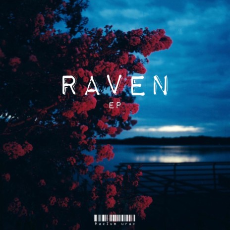 Raven (Ep) | Boomplay Music