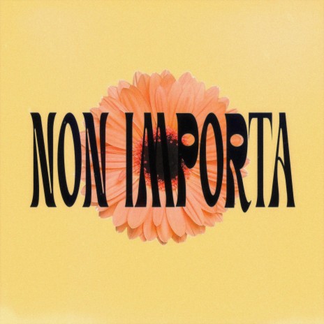 Non Importa ft. Limpido & HAWELL | Boomplay Music