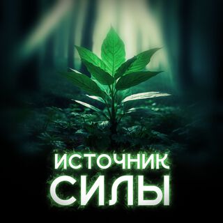 Источник силы