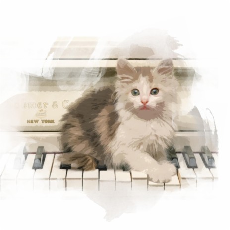 Cat Loves Music (Sarper Duman)