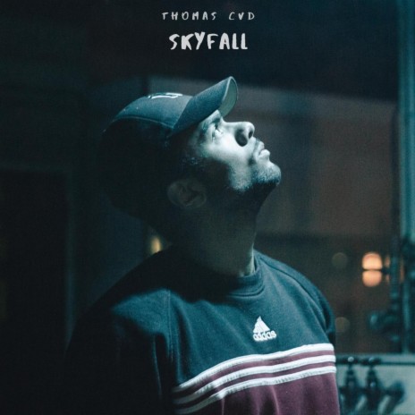 Skyfall | Boomplay Music