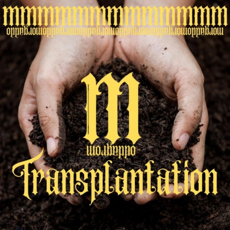 Transplantation | Boomplay Music