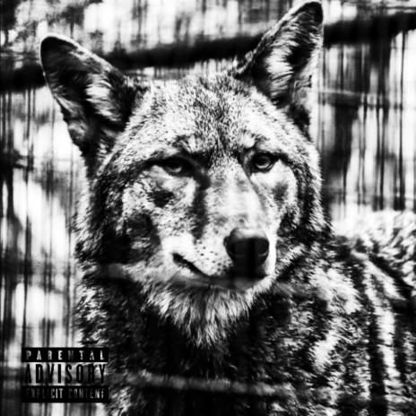 Outside The Cage | Boomplay Music